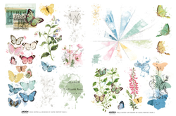 Arden Creative Studio Rub-Ons siirtokuvat Field Notes, 4 arkkia