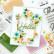 Pinkfresh Studio stanssi Fancy Edgers