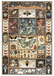Ciao Bella riisipaperit Cabinet of Curiosities, A4