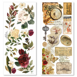 Ciao Bella Transparent Adhesive tarra-arkit Cabinet of Curiosities