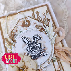 Craft & You stanssi Catkin Twigs