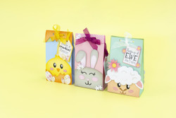 Crafter's Companion stanssi- ja sapluunasetti Easter Treat Boxes