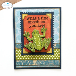 Elizabeth Craft Designs leima- ja stanssisetti Beetles and Bugs
