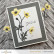 Altenew Craft-A-Flower: Buttercup Bunch -stanssi