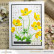 Altenew Craft-A-Flower: Buttercup Bunch -stanssi