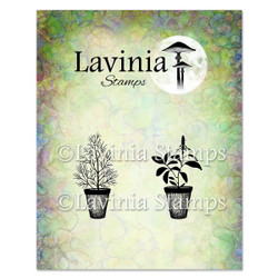 Lavinia Stamps leimasin Dill & Sage Pots