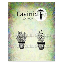 Lavinia Stamps leimasin Rosemary & Thyme Pots