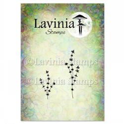 Lavinia Stamps leimasin Thyme