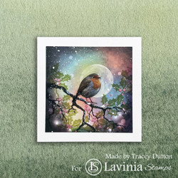 Lavinia tarra-arkki Songbird