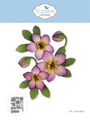 Elizabeth Craft Designs stanssi Beautiful Blooms, Lenten Rose