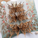 Elizabeth Craft Designs stanssi Joyous Ornament Stars 1