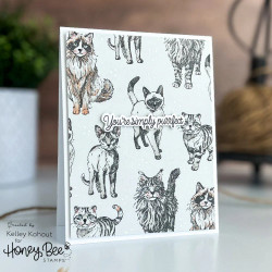 Honey Bee Stamps leimasin Paws & Purrs