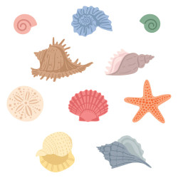 Honey Bee Stamps stanssi Lovely Layers: Small Seashells