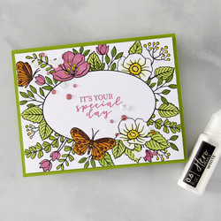Hero Arts Letterpress & Foil Plate -levy Floral Frame