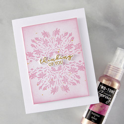 Hero Arts Letterpress & Foil Plate -levy Lavish Flourish