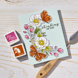  Hero Arts leimasin- ja stanssi Special Day Butterfly