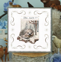 Amy Design Sturdy Winter 3D-kuvat Hedgehog