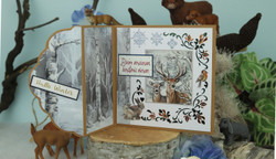 Amy Design Sturdy Winter 3D-kuvat Moose
