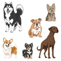 Honey Bee Stamps leimasin Tail Waggers