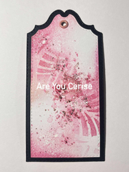 Infusions Dye Stain -värijauhe, sävy Are You Cerise