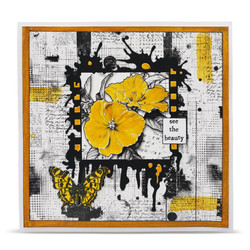 AALL & Create stanssi Driplight
