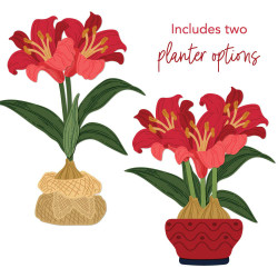 Honey Bee Stamps stanssi Lovely Layers: Amaryllis