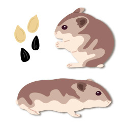 Honey Bee Stamps stanssi Lovely Layers: Hamster