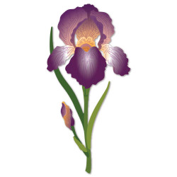 Honey Bee Stamps stanssi Lovely Layers: Iris