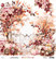 Mintay skräppipaperi Rust & Rose 03
