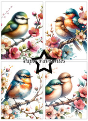 Paper Favourites Birds and Flowers -paperipakkaus, A6