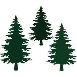 Honey Bee Stamps stanssi Pine Trees