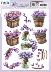 Berrie's Beauties First Blossoms 3D-kuvat Crocus Charm