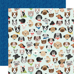 Simple Stories Fur Baby Dog -paperipakkaus, 12