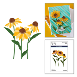 Spellbinders Simon Hurley stanssi Cascading Coneflowers, Wild Coneflowers