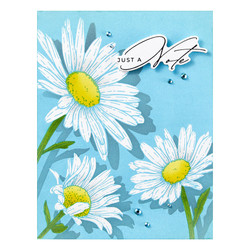 Spellbinders Press Plate Daisy Trio -levy