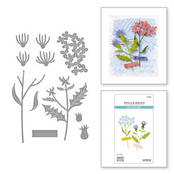 Spellbinders stanssi Field Notes Wildflowers