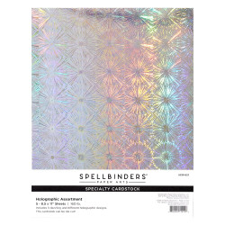 Spellbinders Specialty Cardstock -kartonkipakkaus, Holographic, 5 kpl