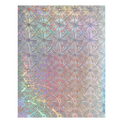 Spellbinders Specialty Cardstock -kartonkipakkaus, Holographic, 5 kpl