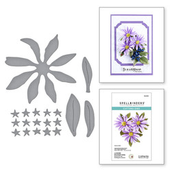 Spellbinders stanssi Lavender Mountain Daisy