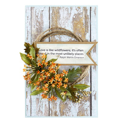 Spellbinders stanssi Milkweed