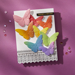 Spellbinders Press Plate Pressed Lace Borders -levyt + Stanssi