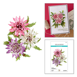 Spellbinders stanssi Serenity Garden, Astrantia