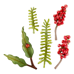 Spellbinders stanssi Serenity Garden, Poetic Foliage
