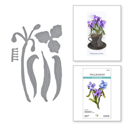 Spellbinders stanssi Spiderwort