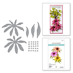 Spellbinders stanssi Echinacea
