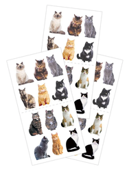 Paper House tarrat Mixed Cats