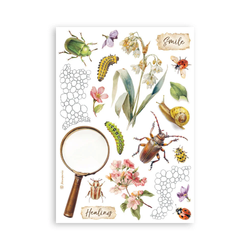 Stamperia Washi Pad -pakkaus All Around