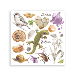 Stamperia All Around -siirtokuvat Assortment, 6kpl