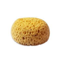 Stamperia Art Stories Sponge Paint -sieni