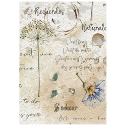 Stamperia riisipaperit Flowers and Poems, A6
